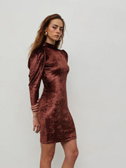 Velvet Dress