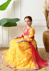 Girls Yellow Embroidered Lehenga Choli Set with Dupatta