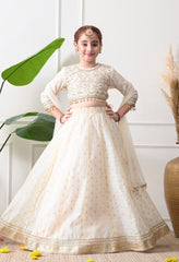 Girls Off White Embroidered Lehenga Choli Set with Net Dupatta