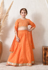 Girls Orange Embroidered Lehenga Choli Set with Net Dupatta
