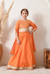 Girls Orange Embroidered Lehenga Choli Set with Net Dupatta