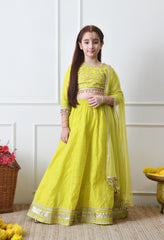 Girls Lime Green Embroidered Lehenga Choli Set with Net Dupatta