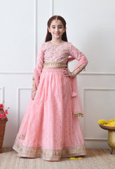 Girls Pink Embroidered Lehenga Choli Set with Net Dupatta