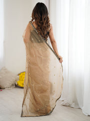 Women's Net Beige Embellished Designer Saree With Blouse Piece