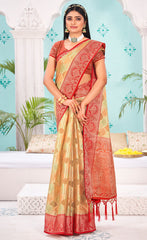 Stunning Peach Color Organza Saree