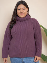 Ribbed Turtle Neck Pullover