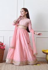 Girls Pink Embroidered Lehenga Choli Set with Net Dupatta