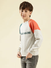 Boys Cotton Fleece Sweatshirt
