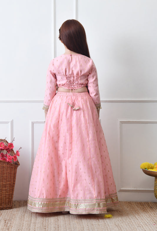 Girls Pink Embroidered Lehenga Choli Set with Net Dupatta