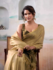 Light Tissue Silk Saree with Border - Classic Ethnic Grace