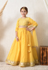 Girls Yellow Embroidered Lehenga Choli Set with Net Dupatta