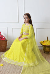 Girls Lime Green Embroidered Lehenga Choli Set with Net Dupatta
