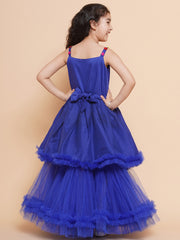 Net Woven Sleeveless Embroidered Flared Frock - Blue