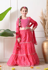 Girls Pink Printed Lehenga Choli Set with Embroidery and Dupatta
