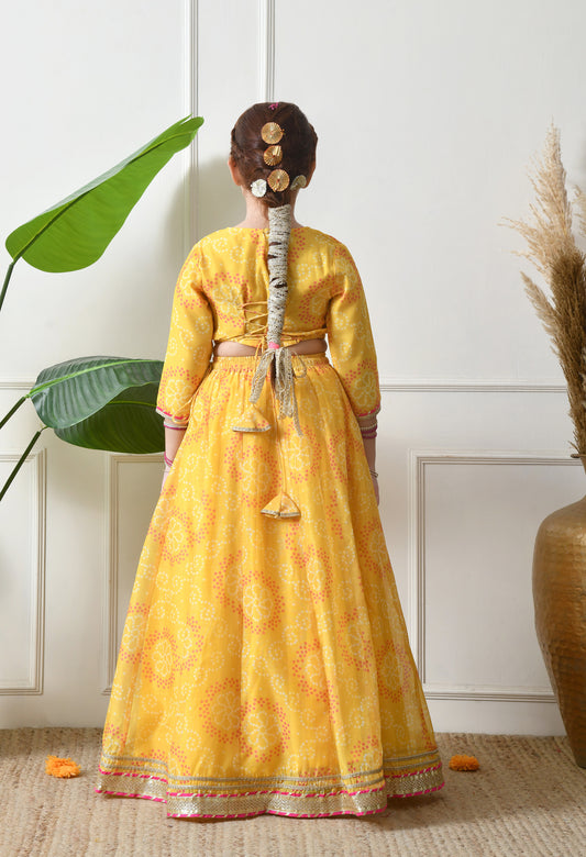 Girls Yellow Embroidered Lehenga Choli Set with Dupatta