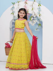 Girls Lime Green with Embroidered Ready to Wear Lehenga & Choli with Dupatta.