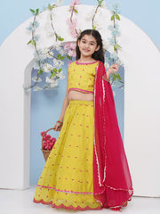 Girls Lime Green with Embroidered Ready to Wear Lehenga & Choli with Dupatta.