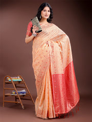 Elegant Sky Blue Cotton Saree with Contrast Pallu – Perfect Blend of Tradition & Comfort