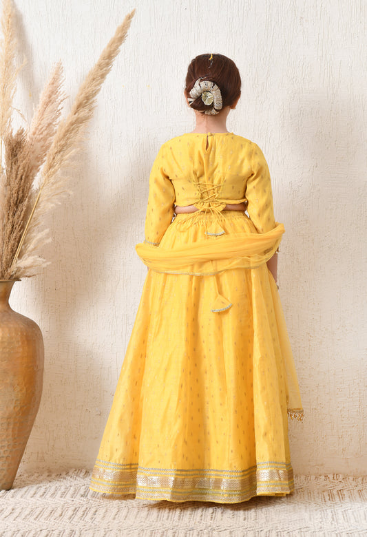 Girls Yellow Embroidered Lehenga Choli Set with Net Dupatta