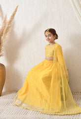 Girls Yellow Embroidered Lehenga Choli Set with Net Dupatta
