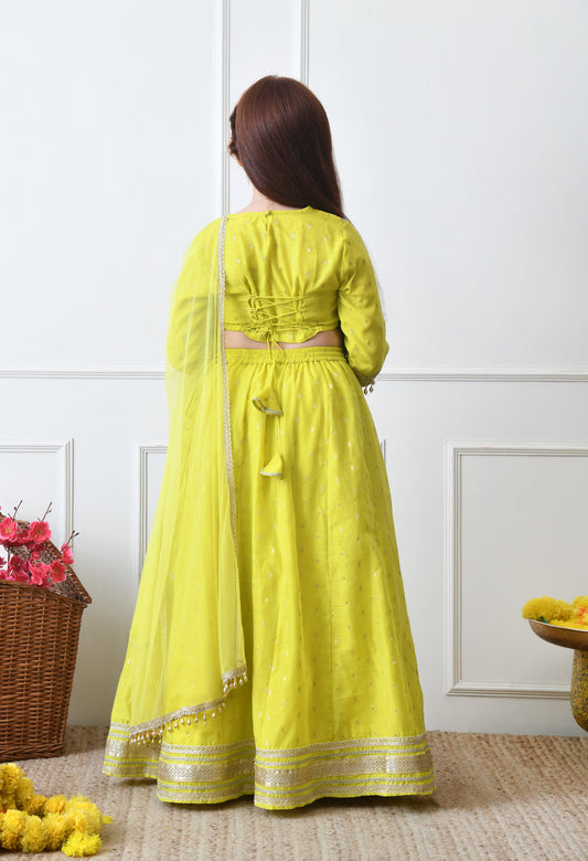 Girls Lime Green Embroidered Lehenga Choli Set with Net Dupatta