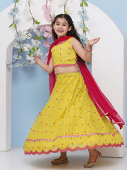 Girls Lime Green with Embroidered Ready to Wear Lehenga & Choli with Dupatta.