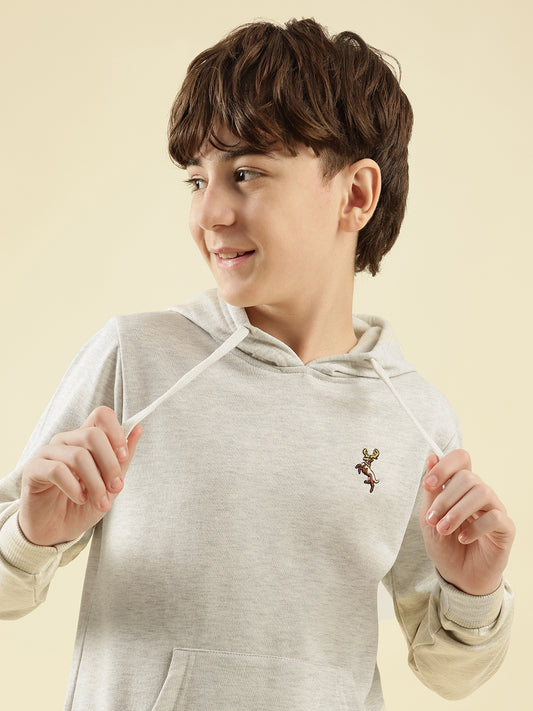Boys Cotton Fleece Sweatshirt