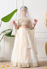 Girls Off White Embroidered Lehenga Choli Set with Net Dupatta