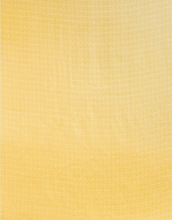 Soft-Modal-Silk-saree-with-stylish-prints-lacoste