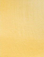 Soft-Modal-Silk-saree-with-stylish-prints-lacoste